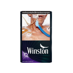 WINSTON Option Purple