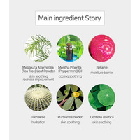 [NEEDS NATURE] DERMA TECHNOLOGY TEA-TREE MODELING PACK