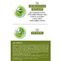 MEDIAN Pine Needles Salt Toothpaste