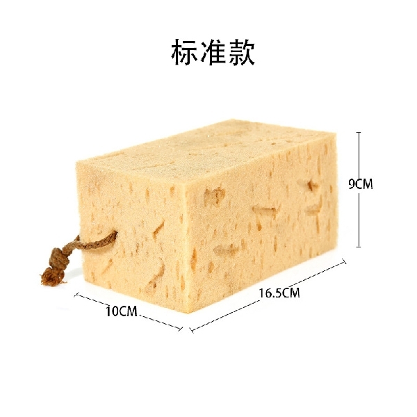 Car Washer Sponge