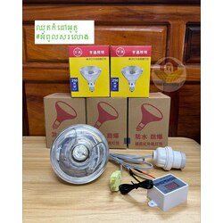 ឈុតកំដៅកូនសត្វអូតូ