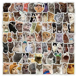 303 Cat Meme Stickers, Cute and Funny Quirky Cat Instagram-Styl