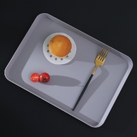 Small Tray