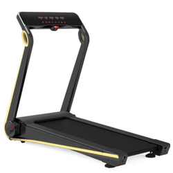 Treadmill Model PJT21