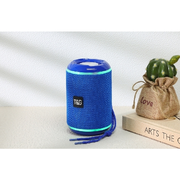 TG291 Portal Speaker