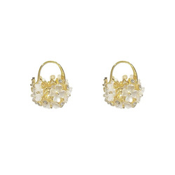 Woman's Fashion Earrings