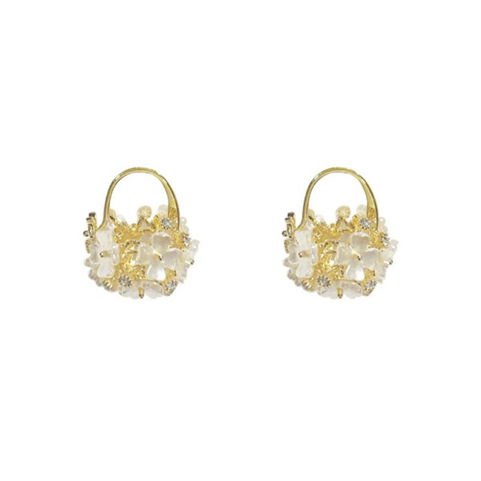 Woman's Fashion Earrings 