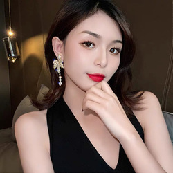 Silver S925 Earrings UP129