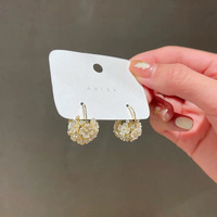 Woman's Fashion Earrings / ក្រវិលនារី