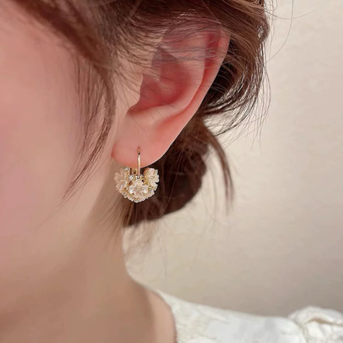 Woman's Fashion Earrings / ក្រវិលនារី