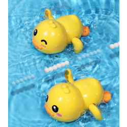 Swim Duck