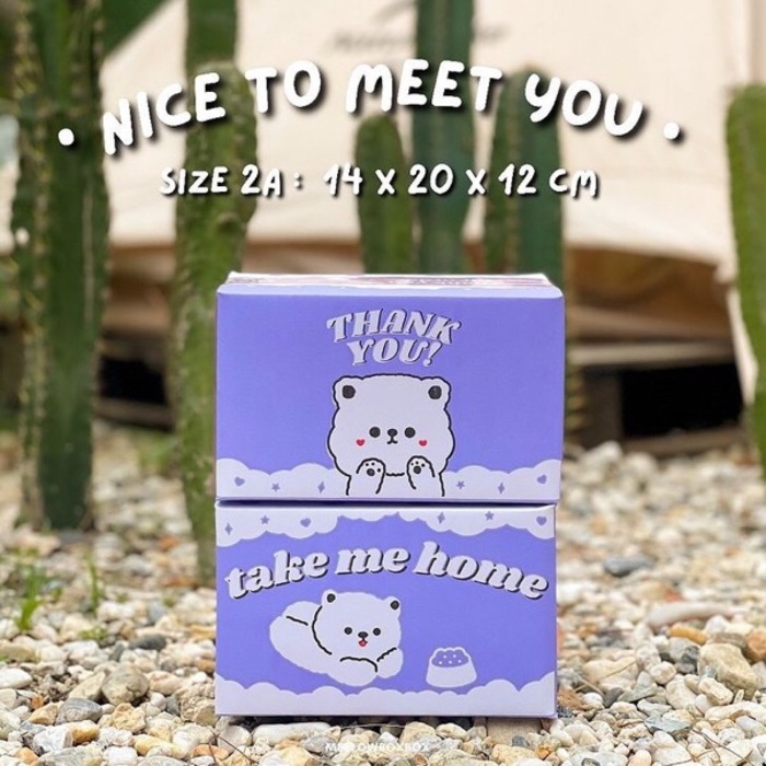 Take Me Home Box Size 2A 14x20x12cm - 1 Set (10PCS)