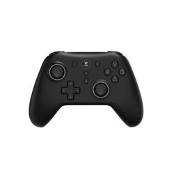 RAPOO V600SE Wired/Wireless Vibration Gamepad