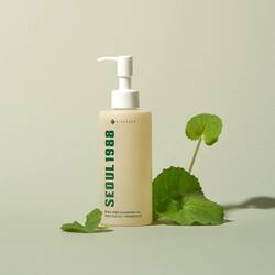 K-SECRET SEOUL 1988 Cleansing