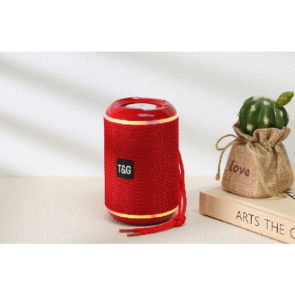 TG291 Portal Speaker