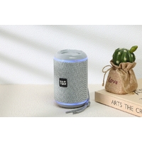 TG291 Portal Speaker