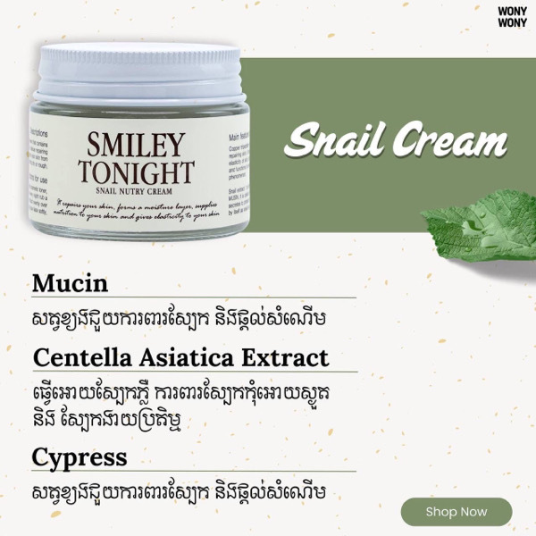 Day&Cream Smiley Tonight cream 