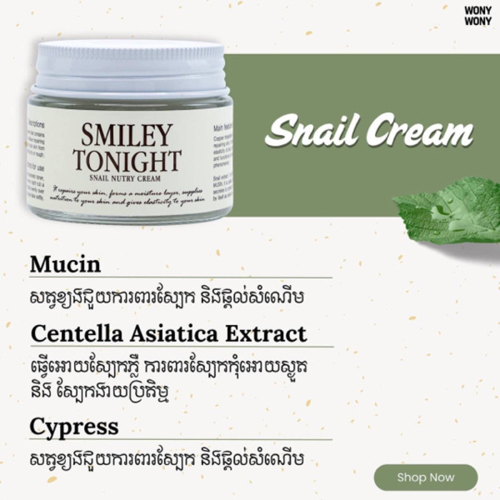 Day&Cream Smiley Tonight cream 