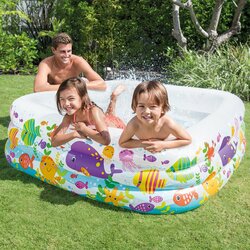 INTEX CLEARVIEW AQUARIUM POOL
