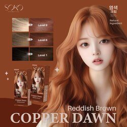 SOKO Color Hair Cream/គ្រីមប្តូរពណ៌សក់-Copper Dawn (Reddish Brown)