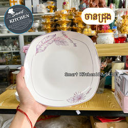 ចានជ្រុង 08
