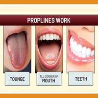 [ Propolinse ] propolinse pure alcohol free mouthwash