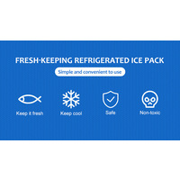 Gel Ice Pack 250g