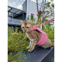 Handmade Crochet Cat Harness - Size S