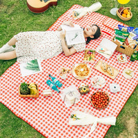 Foldable Picnic Mat 150 x 200cm