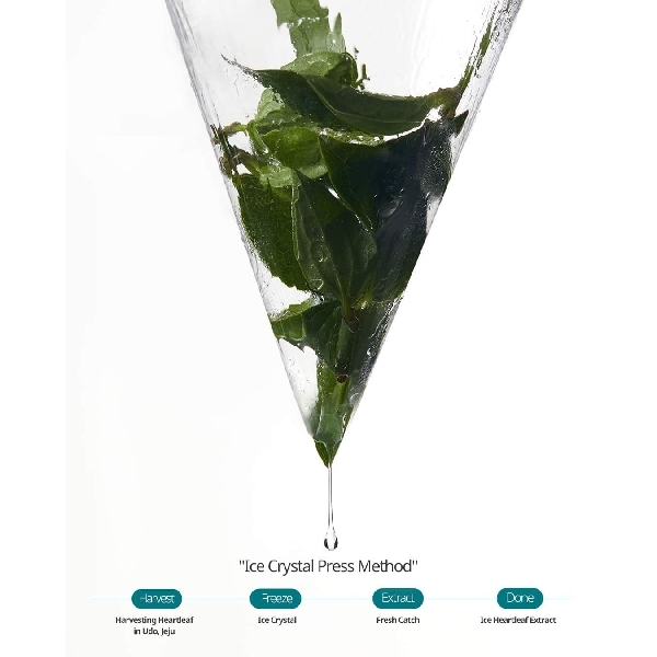 Goodal - Heartleaf Hyaluron Soothing Jelly Mask Sheet