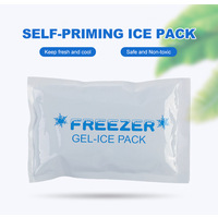 Gel Ice Pack 250g