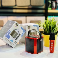 YS-102 Cute Karaoke with Microphone