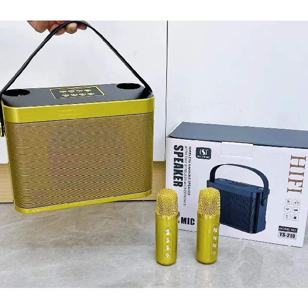 Free Phone Holder - YS-219 Karaoke Speaker with Two Microphones 