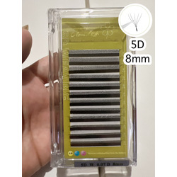 Eyelash - 5D