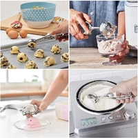 Ice Cream Scoop 22x6cm