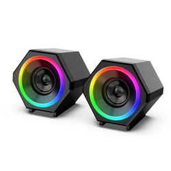 Kisonli L-6060 Speaker