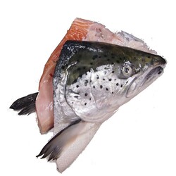 Frozen Salmon Head 1KG