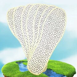 បាតក្រអូប កាត់បន្ថយក្លិនជើង Anti-Odor Insoles