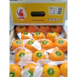 ផ្លែក្រូច ១កញ្ចប់ ៦ផ្លែ - Orange 1 Pack 6 Units