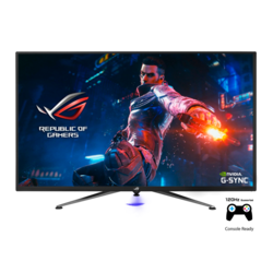 Asus PG Series Gaming Monitor Rog PG43UQ 43"