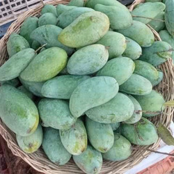 ស្វាយខៀវសាវើយខេត្តបាត់ដំបង ៣គីឡូ - Mango Khieve Saveuy 3kg from Battambang Farm