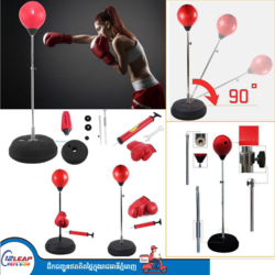 បាល់ប្រដាល់ Boxing Ball