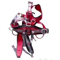 CAN-Safe Original Safety Belt