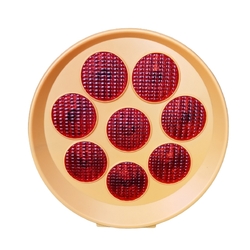 Traffic Solar Red Light 300mm