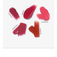 Blurry Filter Tint #02 Newtro chili