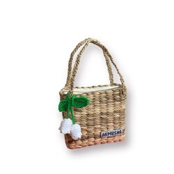 Aknusar Sreytoch (ស្រីតូច)