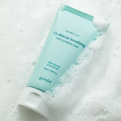 Goodal Heartleaf Hyaluron Soothing Pore Cleansing Foam