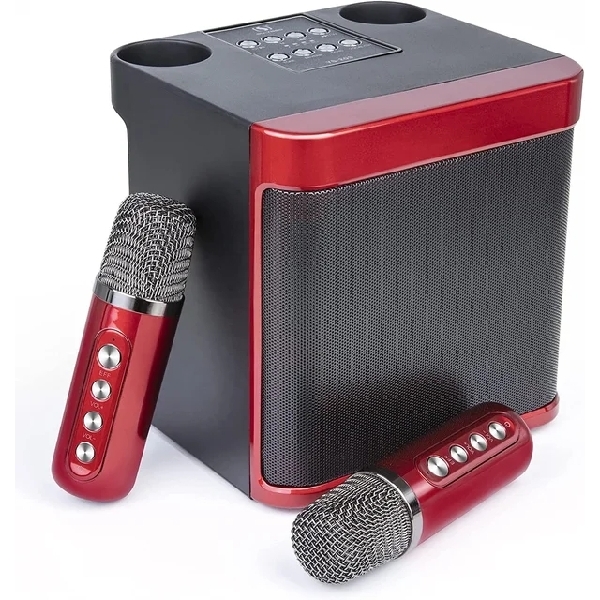 YS-203 Karaoke Speaker with Two Microphones 