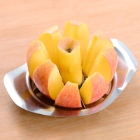 Apple Slicer 11 x 15cm