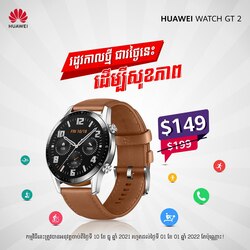 Watch GT2 - Pebble Brown